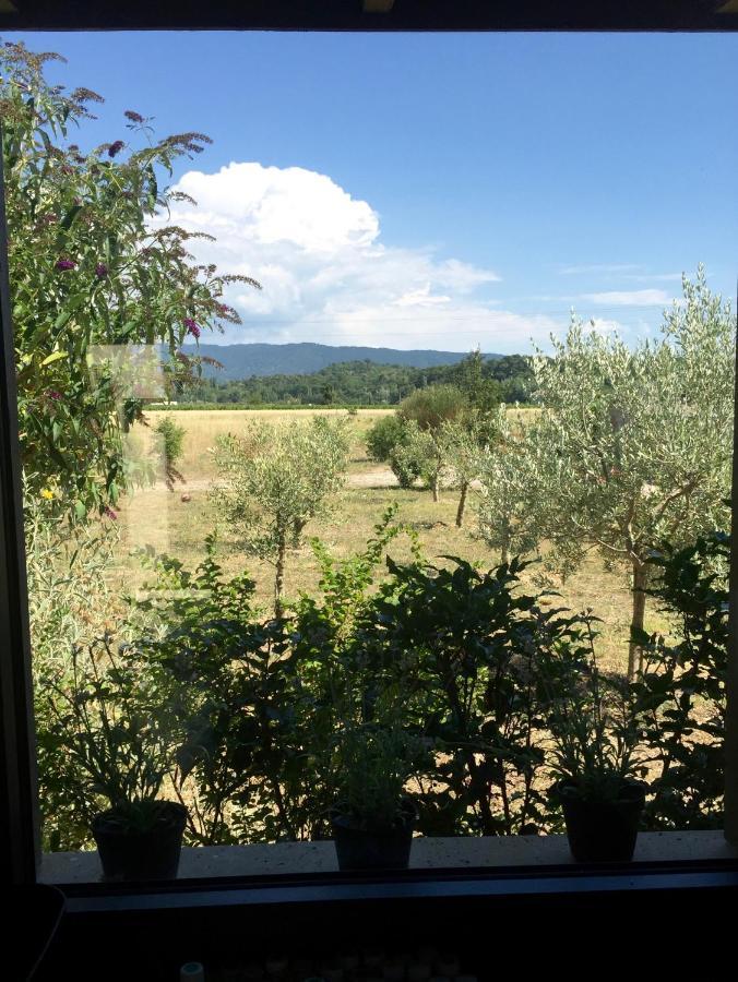 Villa Spacieuse Avec Terrasse Et Vue Mont Ventoux Entrechaux Екстериор снимка