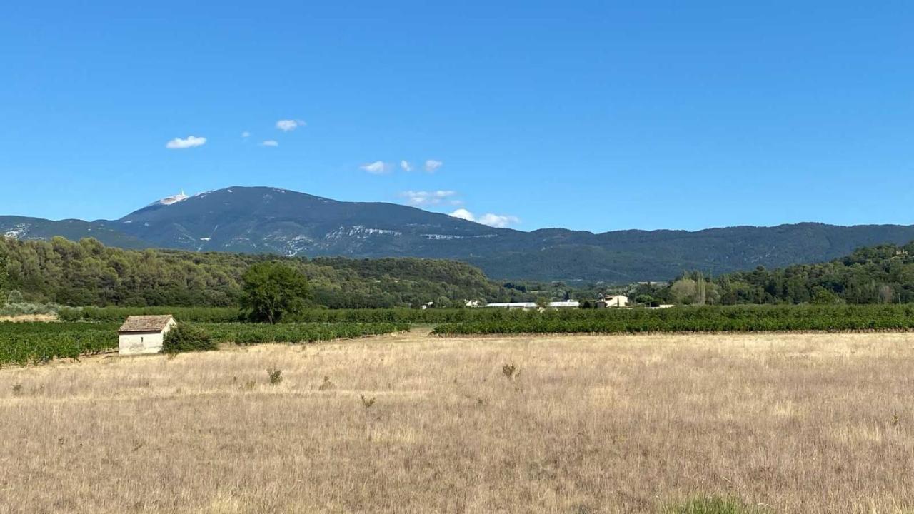 Villa Spacieuse Avec Terrasse Et Vue Mont Ventoux Entrechaux Екстериор снимка
